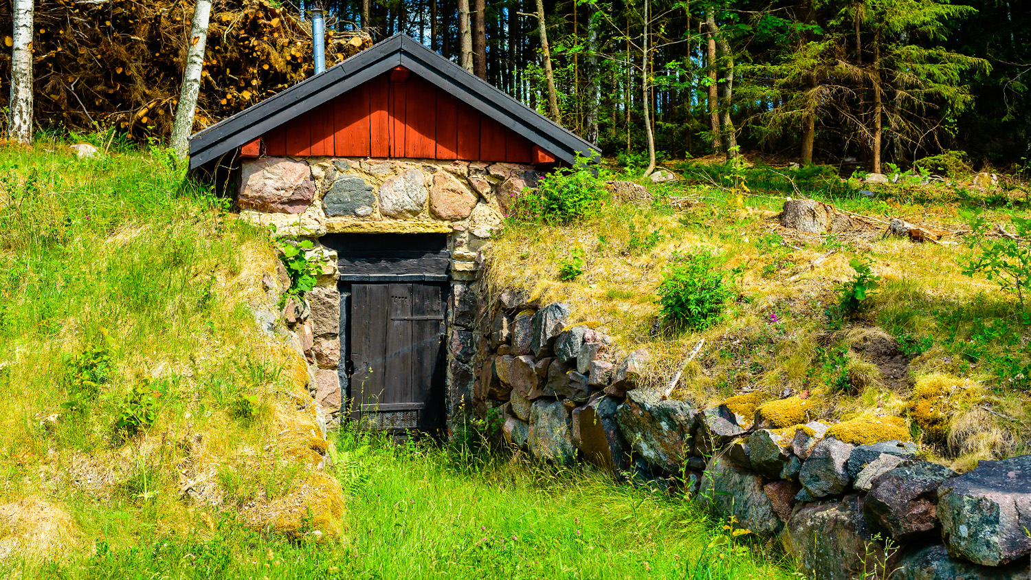 How to Build a Root Cellar